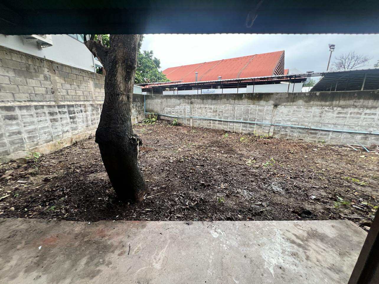 ให้เช่า บ้านเดี่ยว สุเทพ ใกล้กาดมาริน ทำเลหน้ามอ เดินทางสะดวก - Photo 4