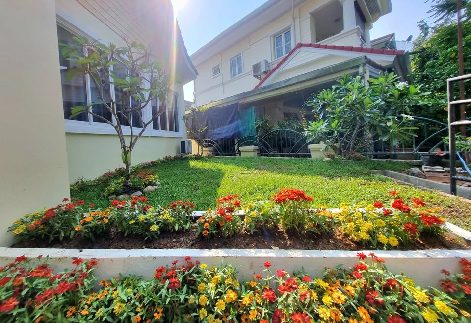 ให้เช่า พลูวิลล่า หางดง Land&House โครงการน่าอยู่ บ้านหรู