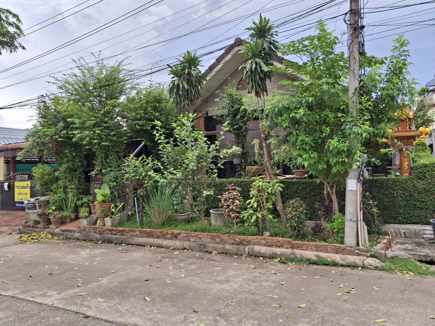 ให้เช่า บ้านเดี่ยว แม่เหียะ-ป่าแดด วังตาล ใกล้วังตาล เดินทางสะดวก
