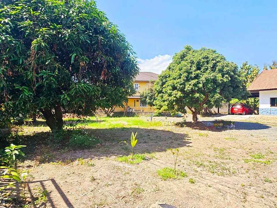 ให้เช่า บ้านเดี่ยว สุเทพ บ้านสวน โครงการน่าอยู่ เดินทางสะดวก