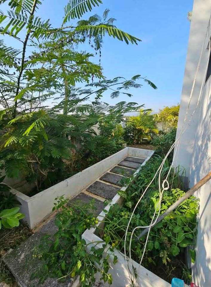 ให้เช่า บ้านเดี่ยว สันทราย สันทราย แม่โจ้ โครงการน่าอยู่ เดินทางสะดวก - Photo 5
