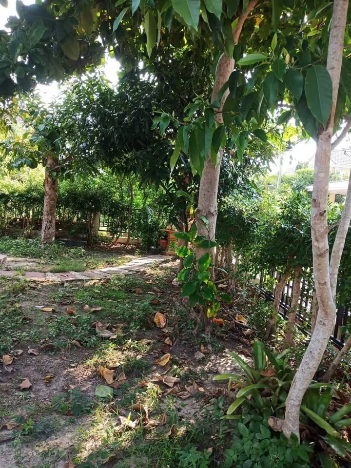 ให้เช่า บ้านเดี่ยว ดอยสะเก็ด กาญจน์กนก 2 โครงการน่าอยู่ เดินทางสะดวก - Photo 2