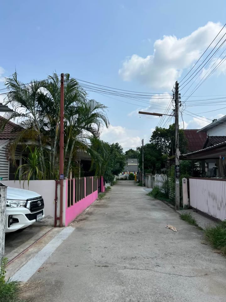 ให้เช่า บ้านเดี่ยว สารภี ใกล้ 89 พลาช่า โครงการน่าอยู่ เดินทางสะดวก - Photo 3